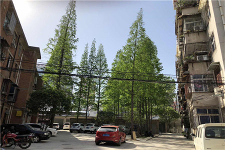 新上！急售好房，幸福世家3室2厅1卫91m2精装